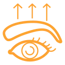 brow