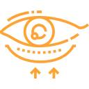 eyelid